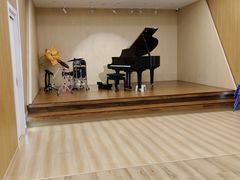 -珠江钢琴艺术中心(文一路店)