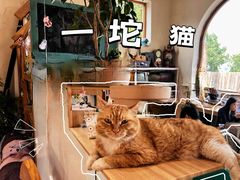 -小时光咖啡馆(开森度假森林店)