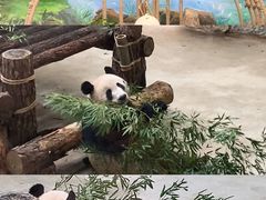 -杭州动物园