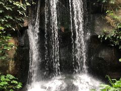 -南山植物园