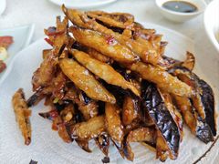 -船歌·鱼水饺青岛菜(金狮广场店)