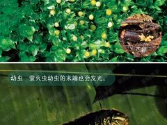 -山水时尚酒店(广州黄埔东路大沙东地铁站店)