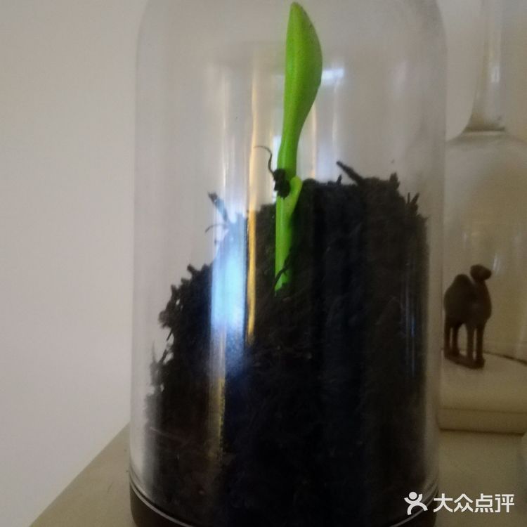 宅家的日子，喝茶晒太阳看书，不亦乐乎！