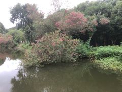 -青龙山国家森林公园