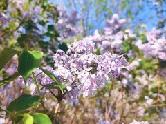 -好世界商业广场(北京国际中心店)