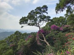 -广州市白云山风景名胜区