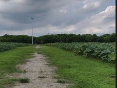 -嘉北郊野公园