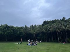 -深圳湾公园(南山区)
