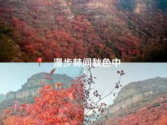 -狼牙山风景区