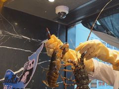 -雍容荟帝王蟹活龙虾展台自助(IFS黑金店)
