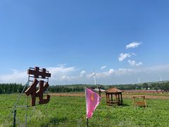 -草原天路(张北县)
