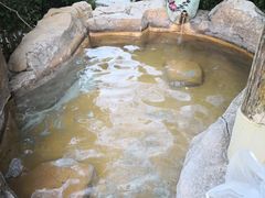 -金孔雀温泉旅游度假村