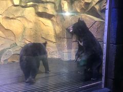 -波塞冬旅游度假区