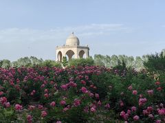-稻香湖景欢乐岛温泉城堡
