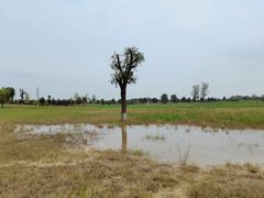 -汉长安城未央宫国家考古遗址公园