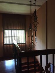 -虎杖传说·还元生活馆