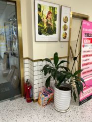 -憨大叔儿童摄影 80店连锁(柯桥店)