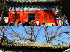-贤良祠