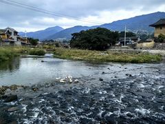 -云水谣景区