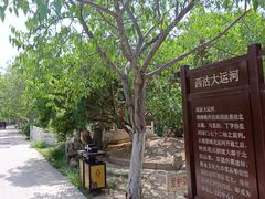 -桃花堤公园