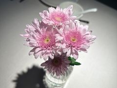 -云腾食府·云南菜