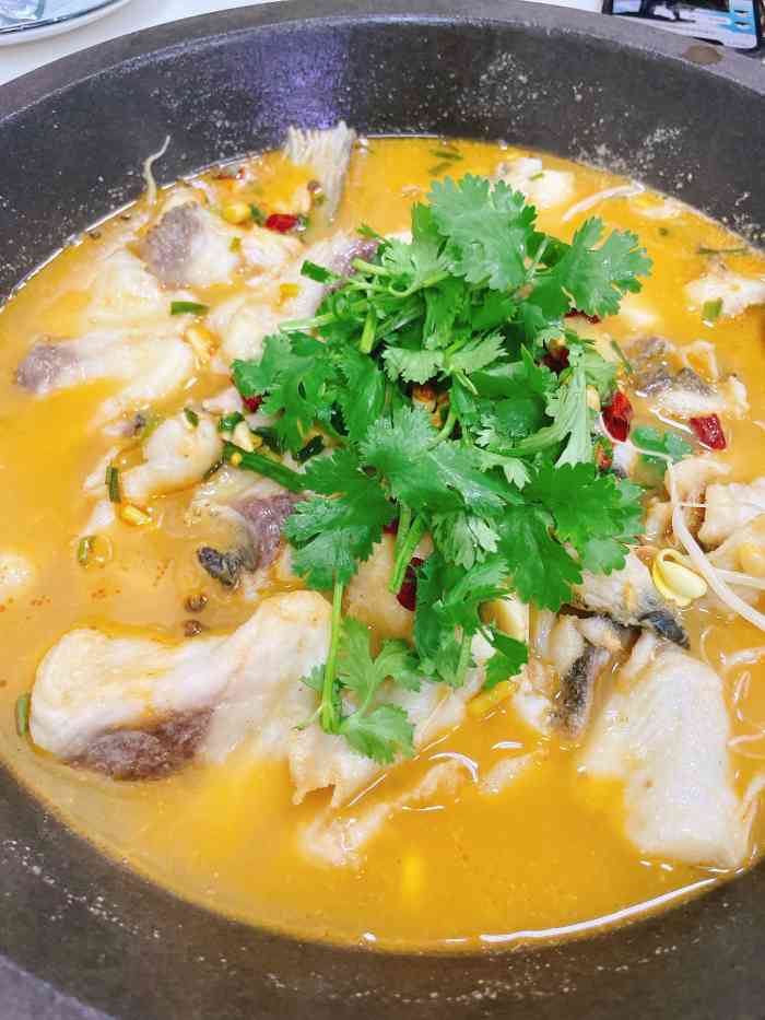 红满天石锅鱼(合肥店)-"早就说要去这家吃石锅鱼,一直没时间,终于.