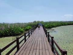 -宁波杭州湾国家湿地公园