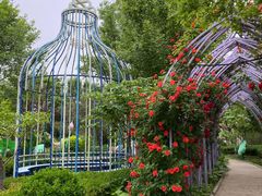 -南宫五洲植物乐园