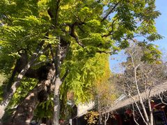 -潭柘寺景区