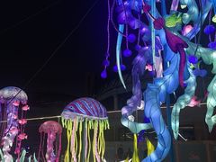 -海合安武汉极地海洋公园