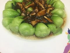 -秦乐宫
