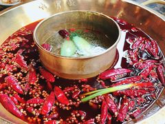 -小龙坎火锅(春熙太古里店)