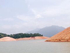 -广州市流溪河国家森林公园