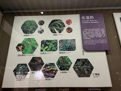 -北京中医药大学-中医药博物馆
