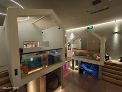 -海德温泉生活馆(朝阳大悦城店)