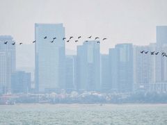 -五缘湾游艇帆船俱乐部
