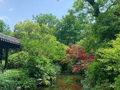 -杭州西子湖四季酒店-WL BISTRO西湖餐厅(灵隐路店)
