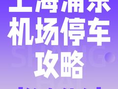 -上海浦东国际机场T1航站楼-P1停车场