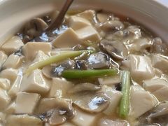 -新吉士·上海菜(浦东LCM置汇旭辉店)