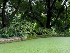 -成都市活水公园