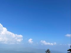 -牛背梁国家森林公园