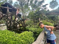 -青城甲(青城山店)