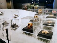 -北京周口店北京人遗址博物馆