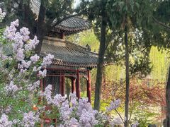-莲池书院博物馆