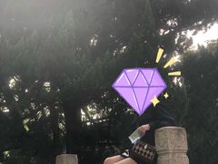-汇龙潭