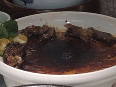 -大榕树下顺德菜(融创茂店)