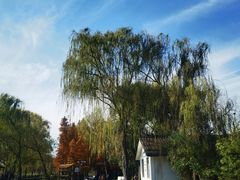 -溱湖国家湿地公园