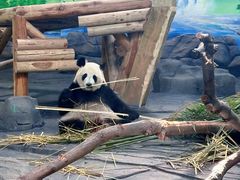 -秦皇岛野生动物园