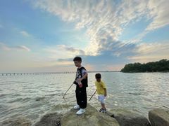 -宝安西湾红树林湿地公园