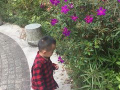 -九龙公园
